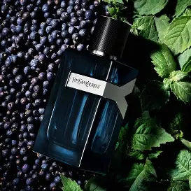YSL Y Intense Cologne for Men